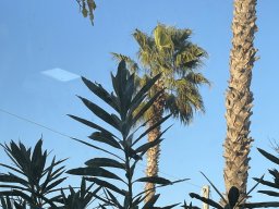 087-18-12-2025 IMG_6444